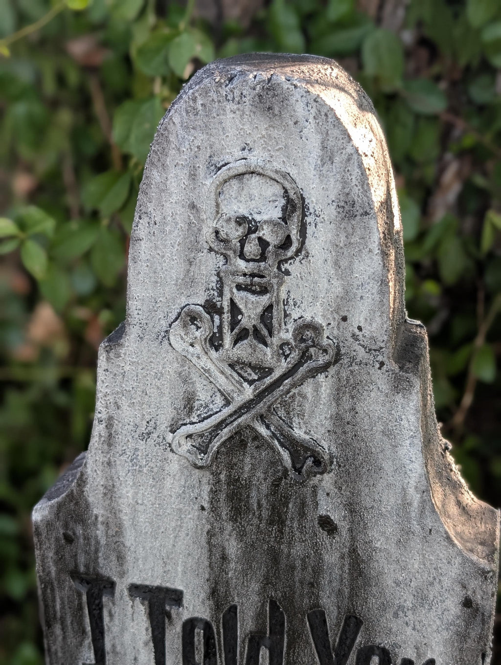 Slim Premade "I Told You I Felt Sick" Carved Gravestone - product photo 5